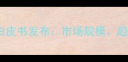 中国面膜行业白皮书发布市场规模趋势与未来展望