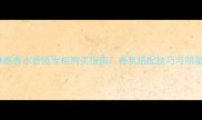Dior魅惑香水香港专柜购买指南香氛搭配技巧与明星单品