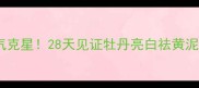 急救焕亮黄气克星28天见证牡丹亮白祛黄泥膜魔法