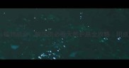 中药护肤品vs植物成分敏感肌必看天然护肤全攻略附成分表避坑指南