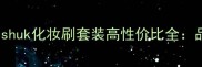 爆款美妆工具推荐Soniakashuk化妆刷套装高性价比全品牌背景价格对比选购指南