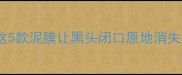 毛孔清洁神器TOP5这5款泥膜让黑头闭口原地消失附上正确使用攻略