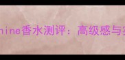 度必入incantoshine香水测评高级感与实用性的完美平衡
