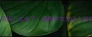 CK夏日淡香天花板太省了通勤学生党必入的扩香小技巧