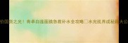 平价国货之光肯卓白莲面膜急救补水全攻略水光肌养成秘籍大公开