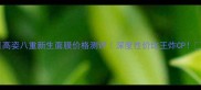 高姿八重新生面膜价格测评深度性价比王炸CP