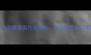 最赚钱的化妆品牌微商代理指南如何快速入门并月入过万