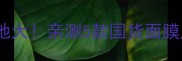 魔力面膜生产地大亲测5款国货面膜成分与功效全