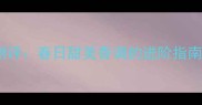 Burberry水蜜桃香水测评春日甜美香调的进阶指南持久度混搭技巧全