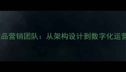如何搭建化妆品营销团队从架构设计到数字化运营的完整指南