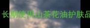 山茶花油护肤效果如何长期使用山茶花油护肤品十大优势及注意事项全