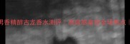 绝密女王斩男香精醇古龙香水测评高级感拿捏全场焦点附避雷指南