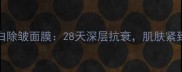 AHCPHYTO胶原蛋白除皱面膜28天深层抗衰肌肤紧致年轻的秘密武器