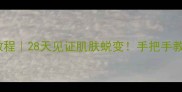 韩束黄金面膜使用教程28天见证肌肤蜕变手把手教你激活肌肤黄金时代