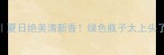 资生堂绿宝石香水测评夏日绝美清新香绿色瓶子太上头了闭眼入的淡香王炸