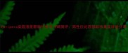 Peripera染唇液最新款价格及口碑测评高性价比唇部彩妆真实体验分享