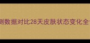 实测数据对比28天皮肤状态变化全记录