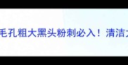 活性炭面膜推荐TOP10毛孔粗大黑头粉刺必入清洁力MAX的宝藏面膜大公开