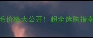 Dollywink假睫毛价格大公开超全选购指南与性价比推荐