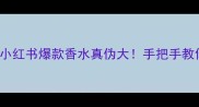 Burberry6ml小红书爆款香水真伪大手把手教你避坑指南