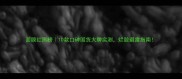 面膜红黑榜10款口碑国货大牌实测烂脸避雷指南