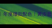 Bulgari香水绿眼影盘年度爆款配色黄皮显白神器附妆教视频