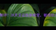 Skin1004僵尸面膜真实测评28天见证肌肤蜕变敏感肌也能用的补水修复神器