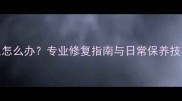 Gucci香水盖子掉色怎么办专业修复指南与日常保养技巧附用户实测