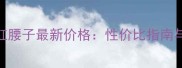 英国资生堂红腰子最新价格性价比指南与购买全攻略